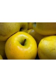 Jabłka wczesne żółte