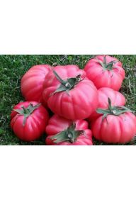Pomidory malinowe karbowane